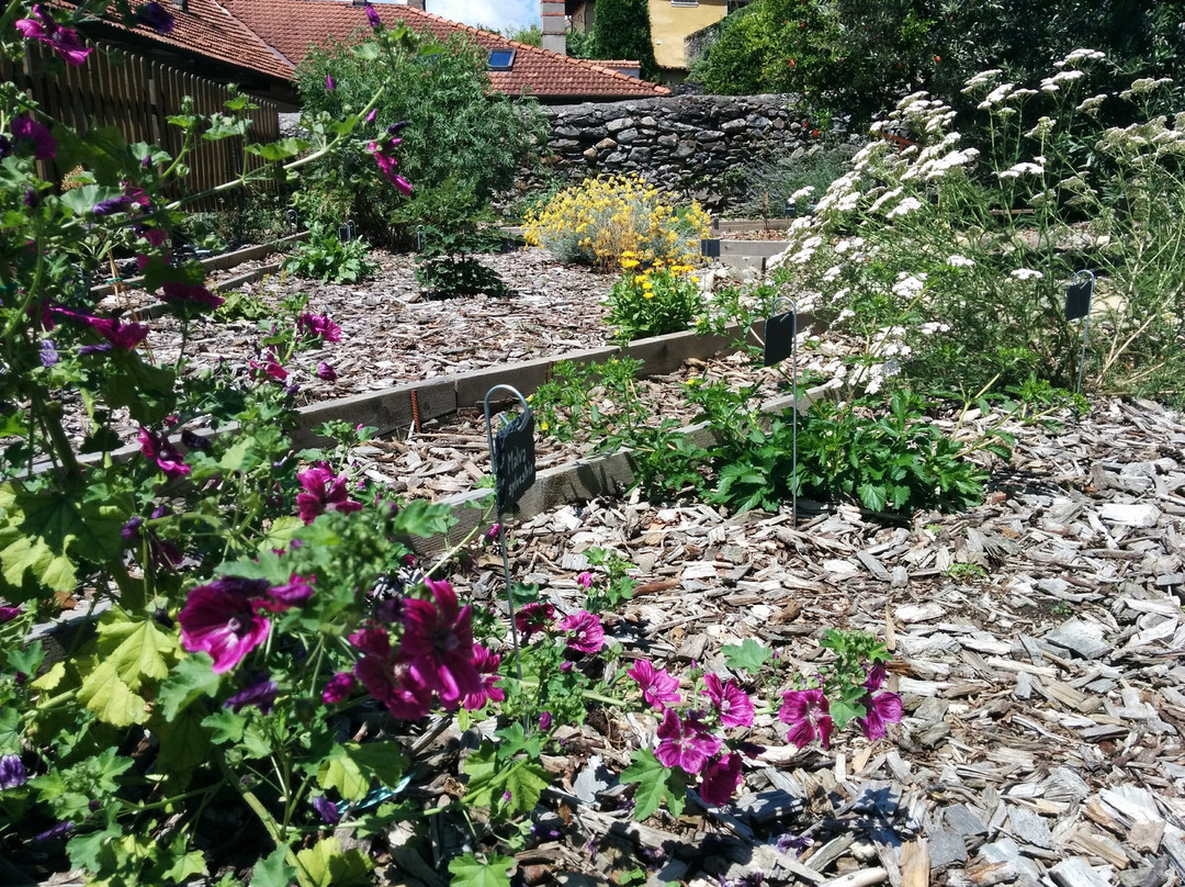 Giardino dei Semplici景点图片