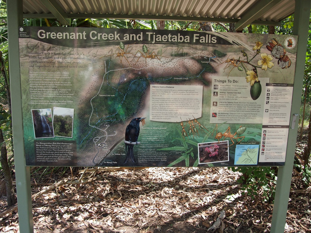 Tjaetaba Falls-Litchfield National Park必去景点