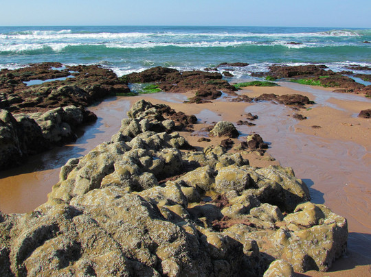 Zinkwazi Beach旅游攻略图片