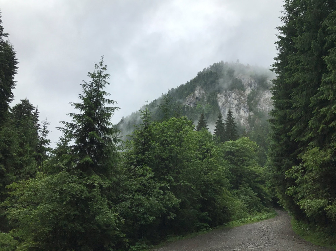 Bridal Veil Falls景点图片