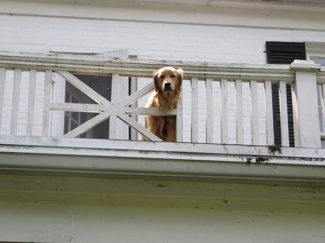 Cherry Mansion-萨凡纳必去景点
