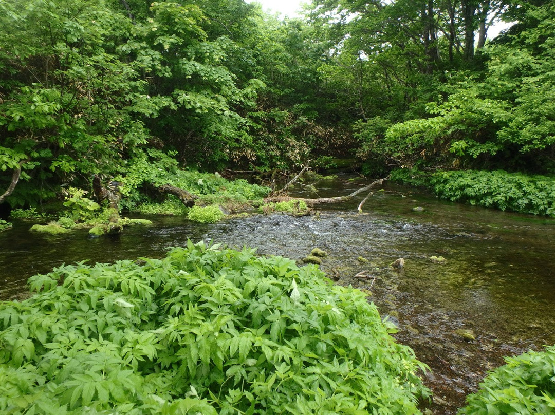 Gudari Swamp-青森市必去景点
