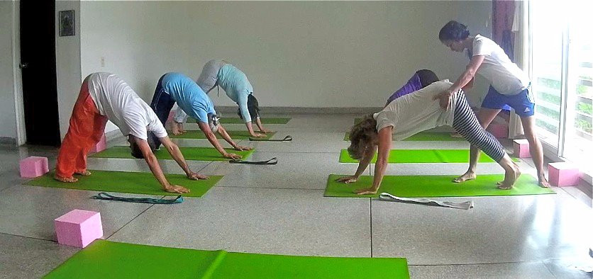 Movarte Studio-卡利必去景点