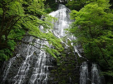 Ryusogadaki Falls景点图片