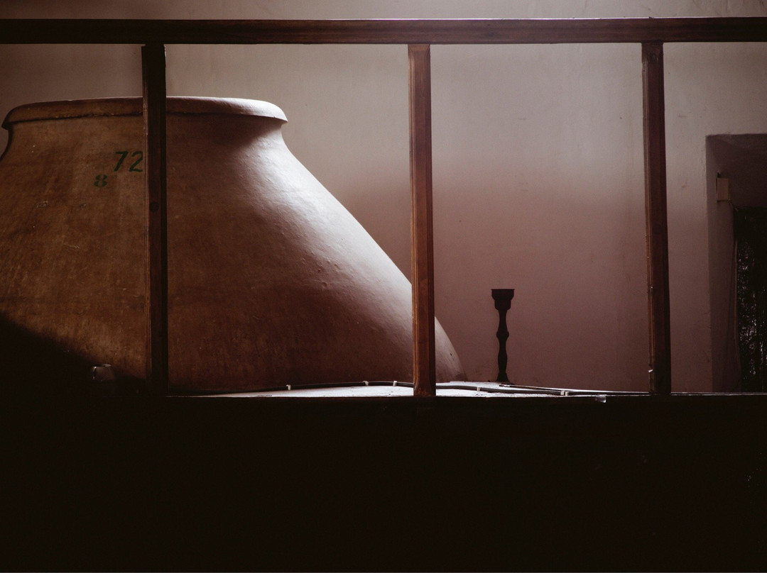 Bodega 500 Arrobas景点图片