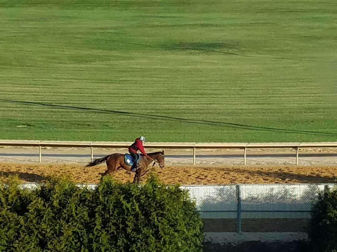 The Inn At Charles Town Races主图