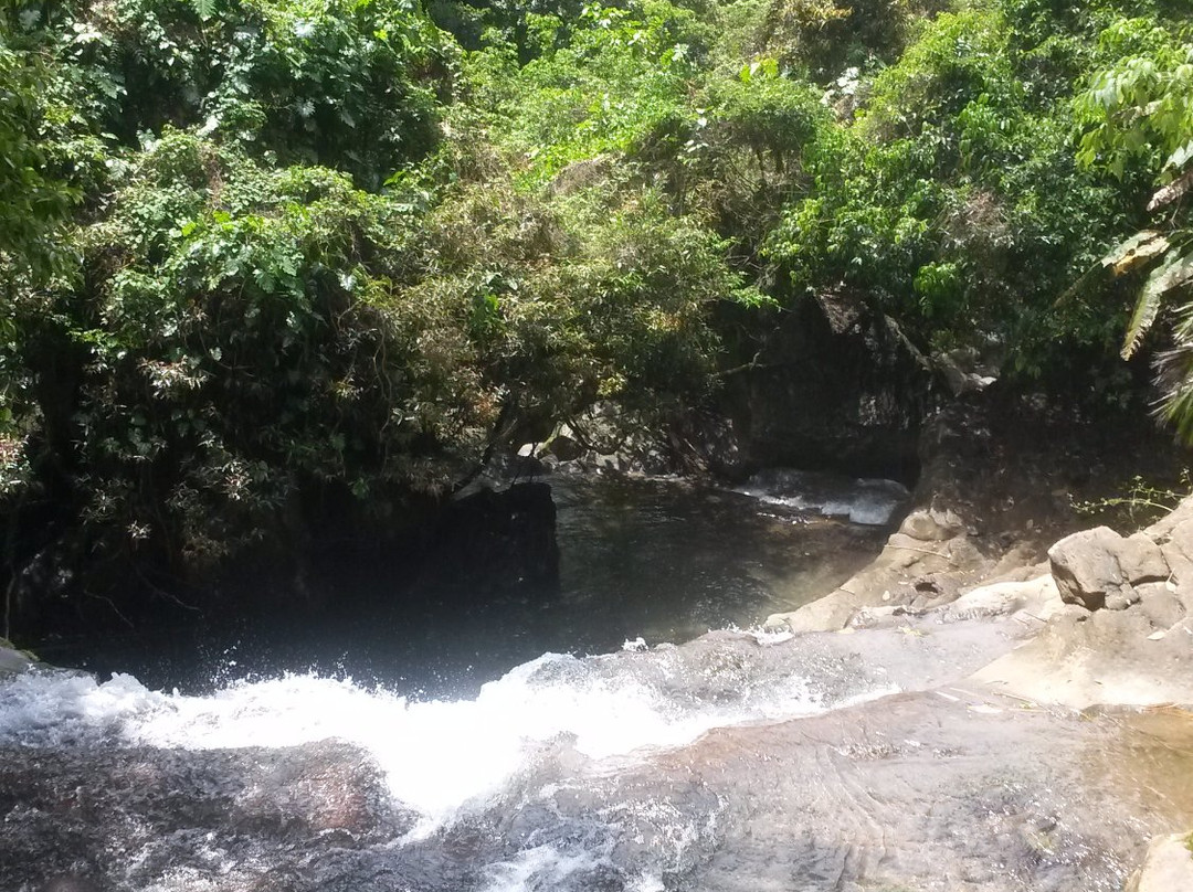 Tropical Video Tours-安东尼奥港必去景点