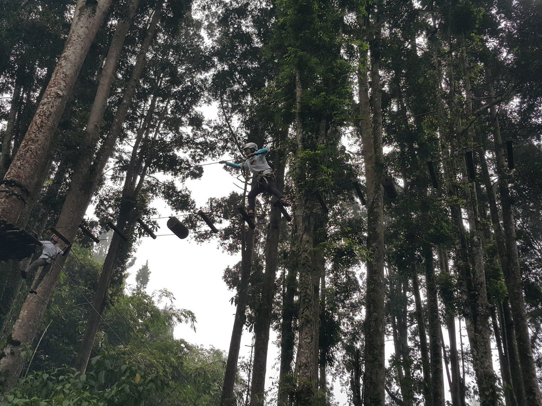 Baturraden Adventure Forest景点图片