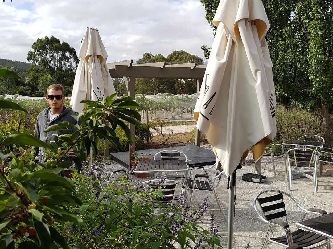 Lobethal Road Wines景点图片