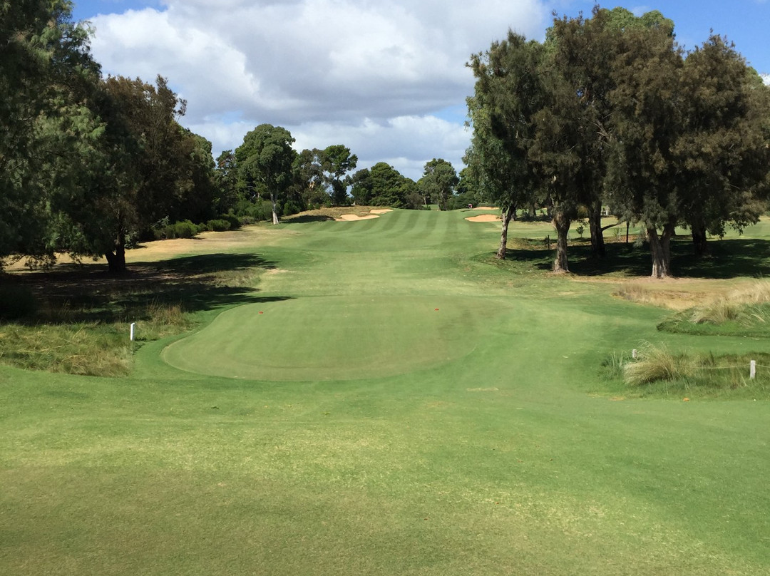 Kooyonga Golf Club景点图片