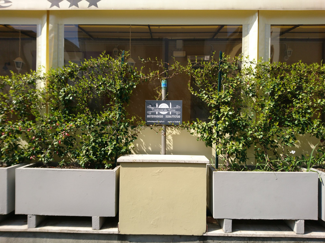 Province of Pistoia餐馆和美食-Trattoria Da Gina