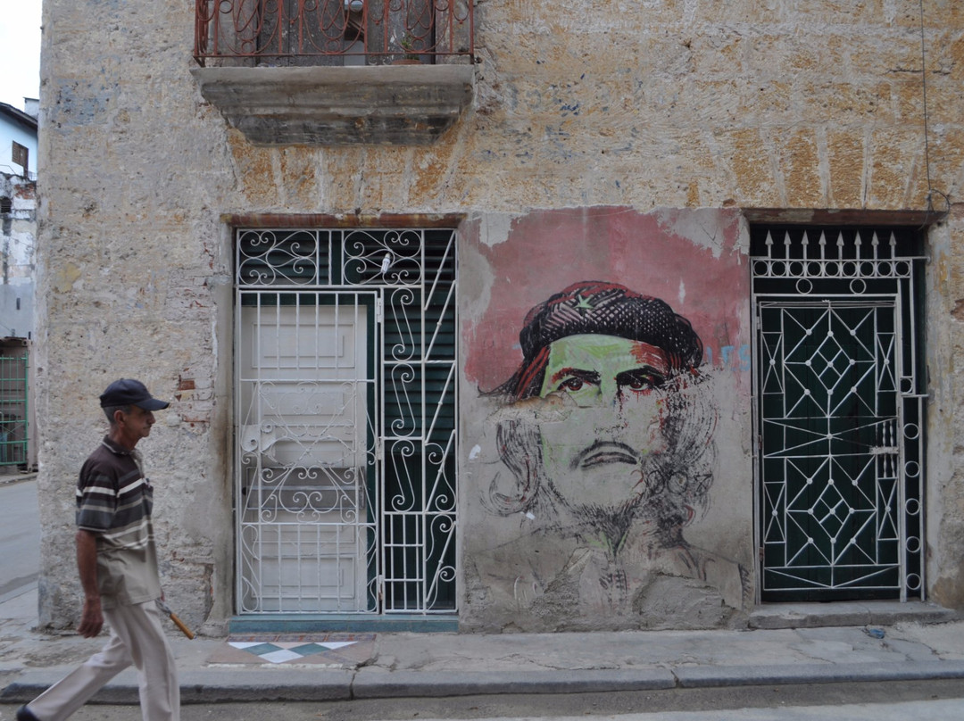 Photography Workshops-特立尼达必去景点