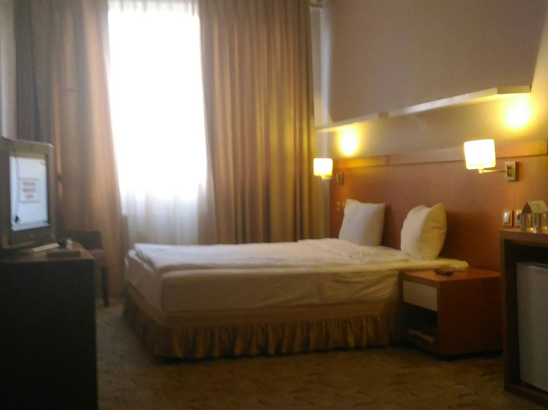 Business Hotel Cerkezkoy主图