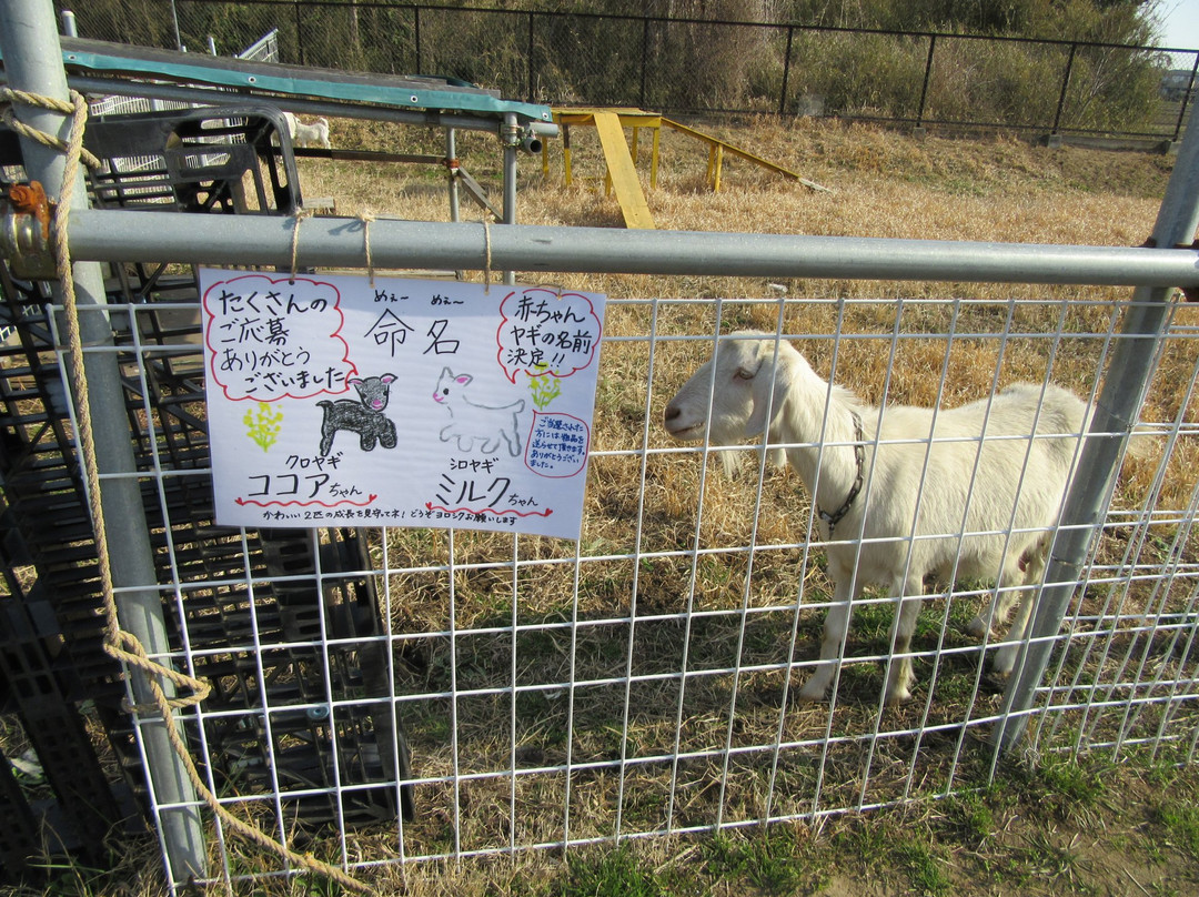 Ararechanchi-茂原市必去景点