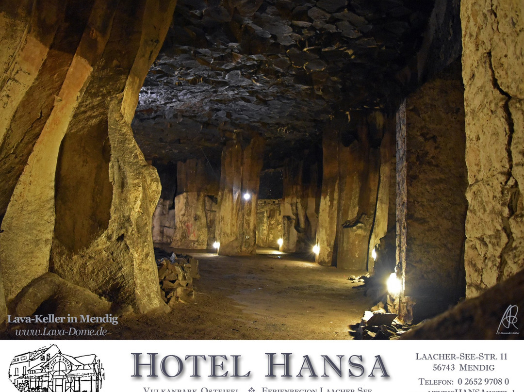 Mendig酒店住宿-翰莎餐厅酒店