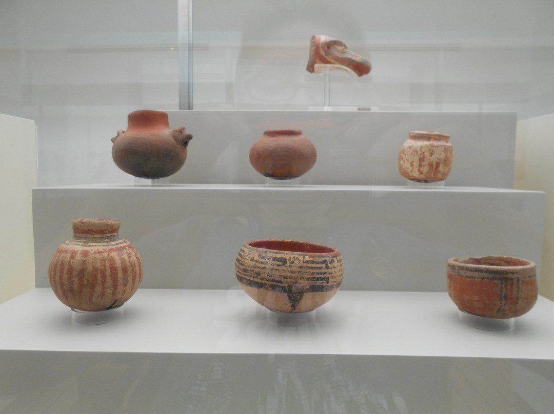 Museo de Arte Precolumbino景点图片