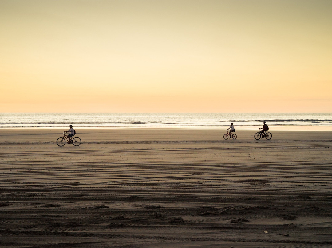 Surf Your Mind景点图片