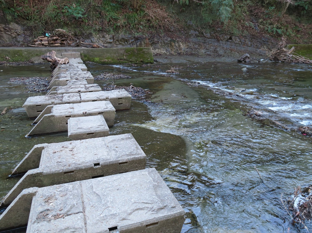 Remains of Kobundo Tunnel-大多喜町必去景点