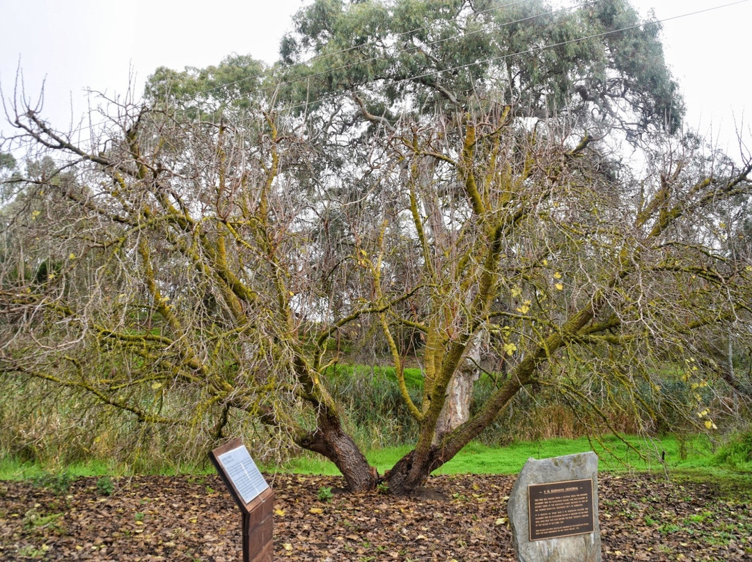 Jacob's Creek Trail of Discovery景点图片