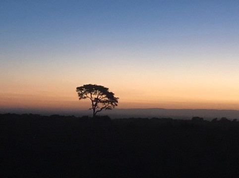 Durban Tours and Safaris-德班必去景点