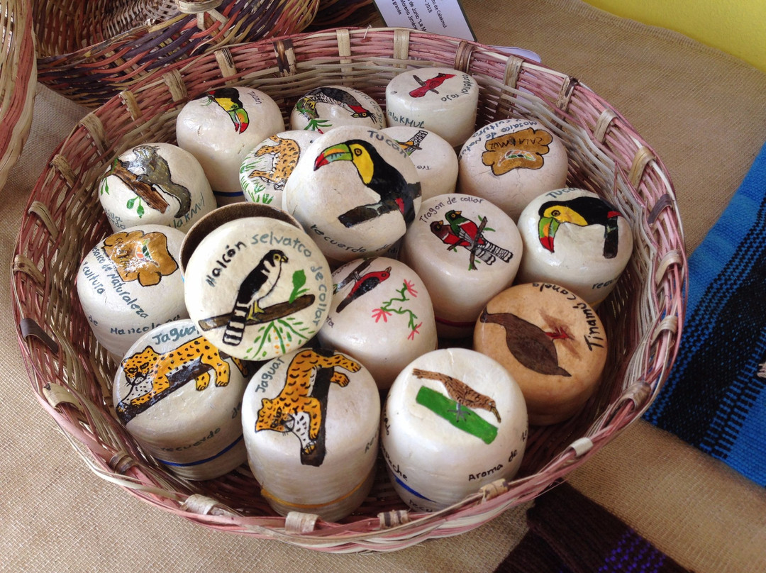 La Raíz del Futuro-卡拉克穆尔必去景点