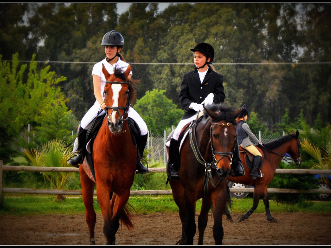 Ippikos Omilos Kalamatas-卡拉马塔必去景点