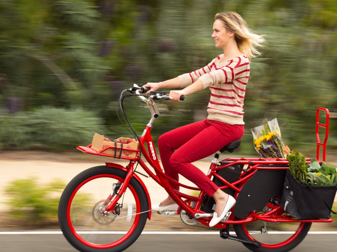 Pedego Electric Bikes Juno Beach-朱诺海滩必去景点