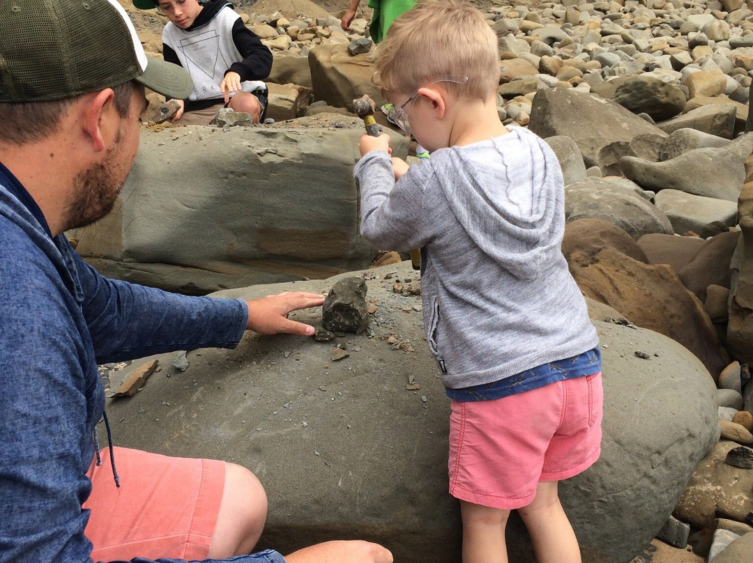 Dinosaur Dreaming-Inverloch必去景点