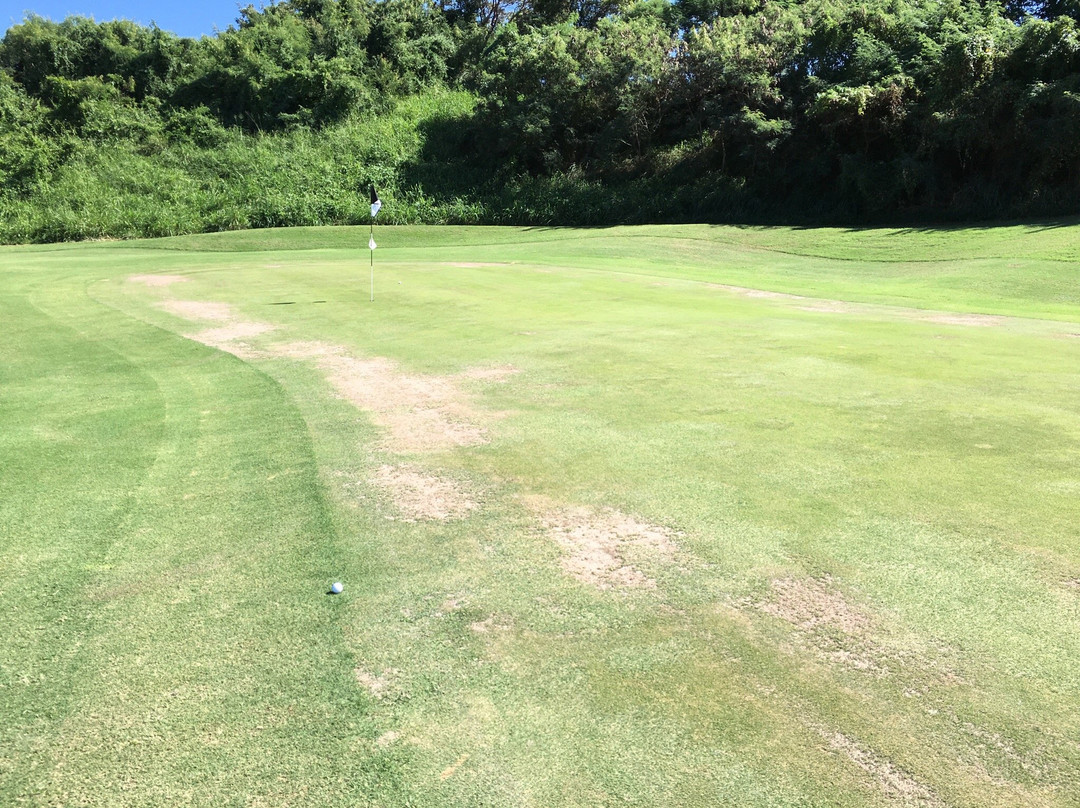 El Conquistador Golf Course-波多黎各必去景点