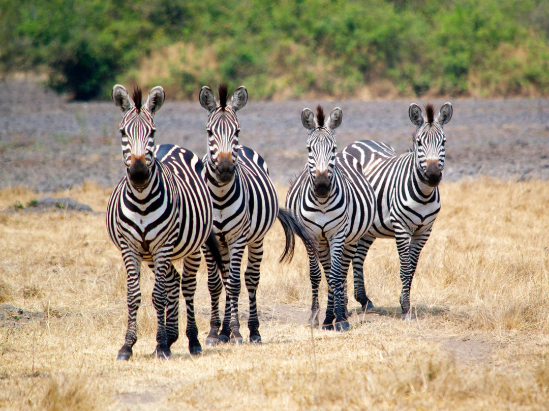 Kabarole Tours-Fort Portal必去景点