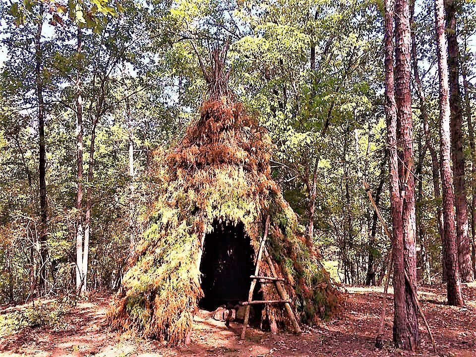 Trail Blazer Survival School & Adventures景点图片