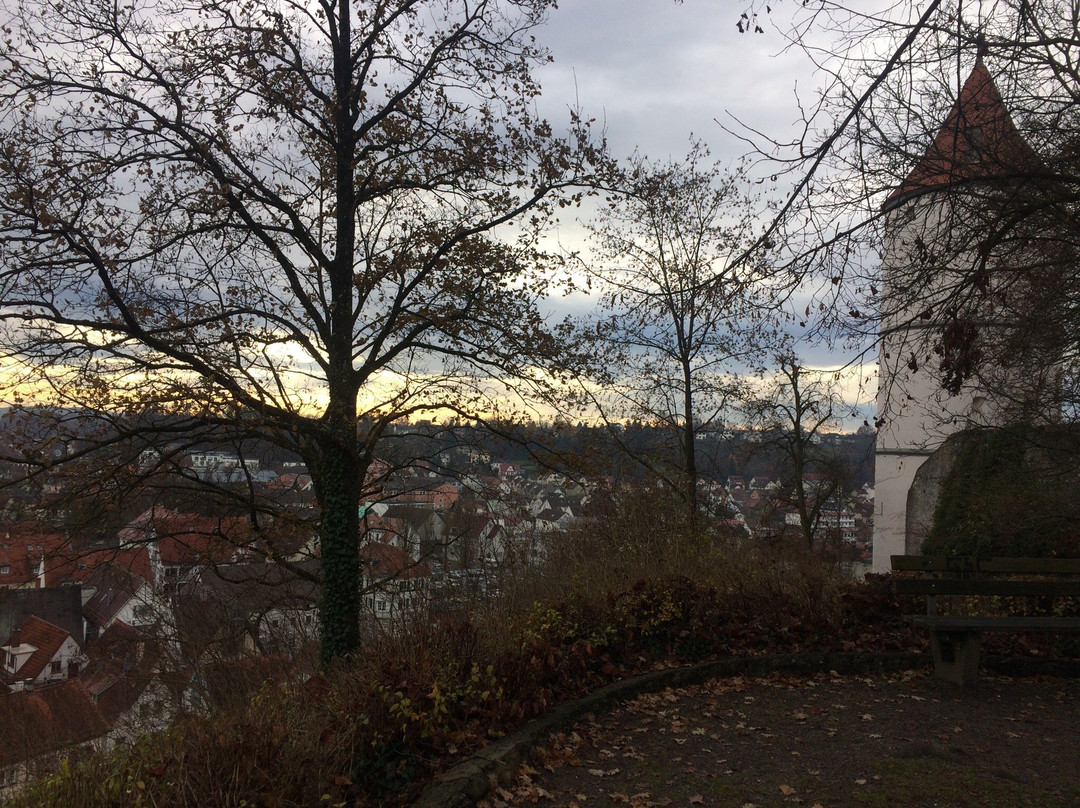 Weißer Turm-比伯拉赫（里斯）必去景点