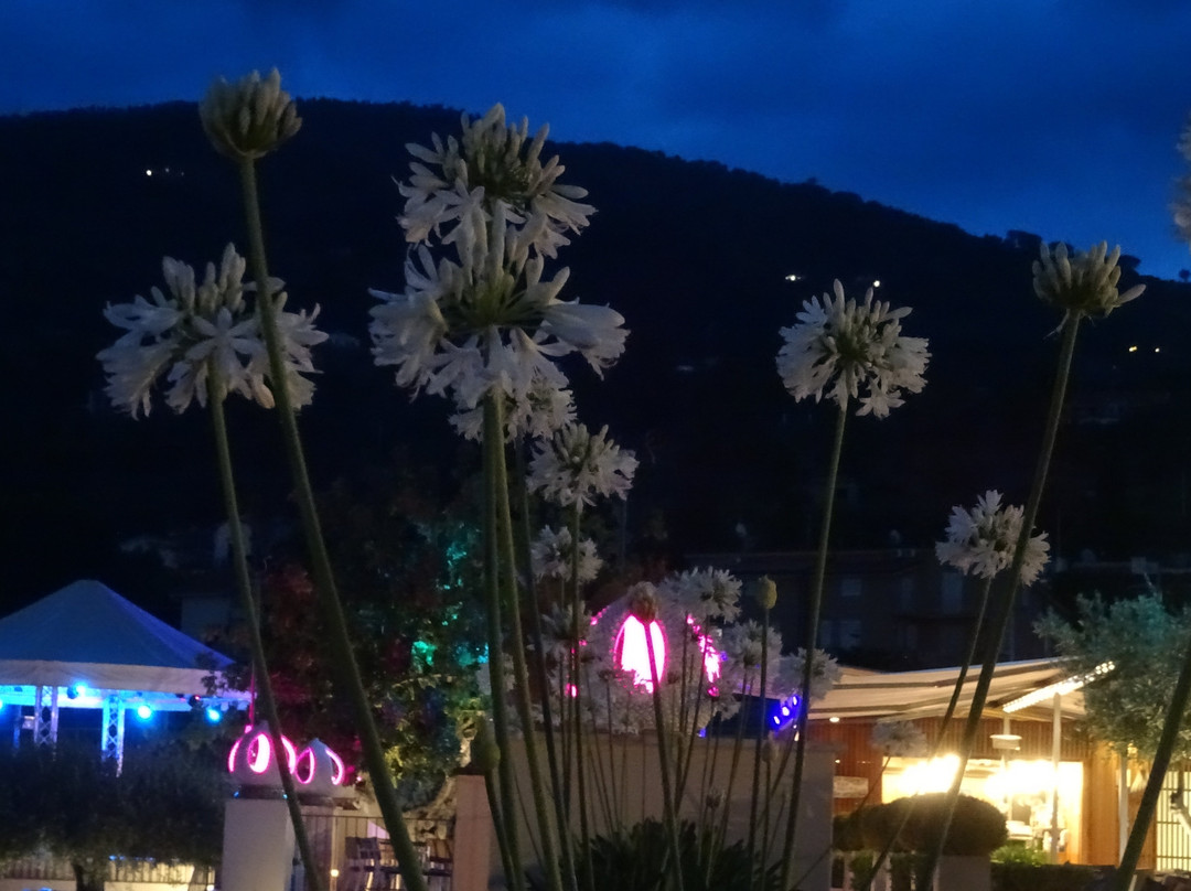 Hapimag Resort Cefalù主图