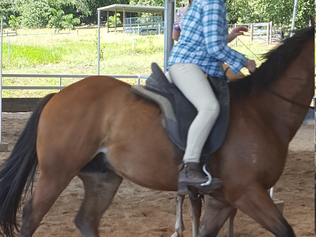 Ports Horse Farm-道格拉斯港必去景点