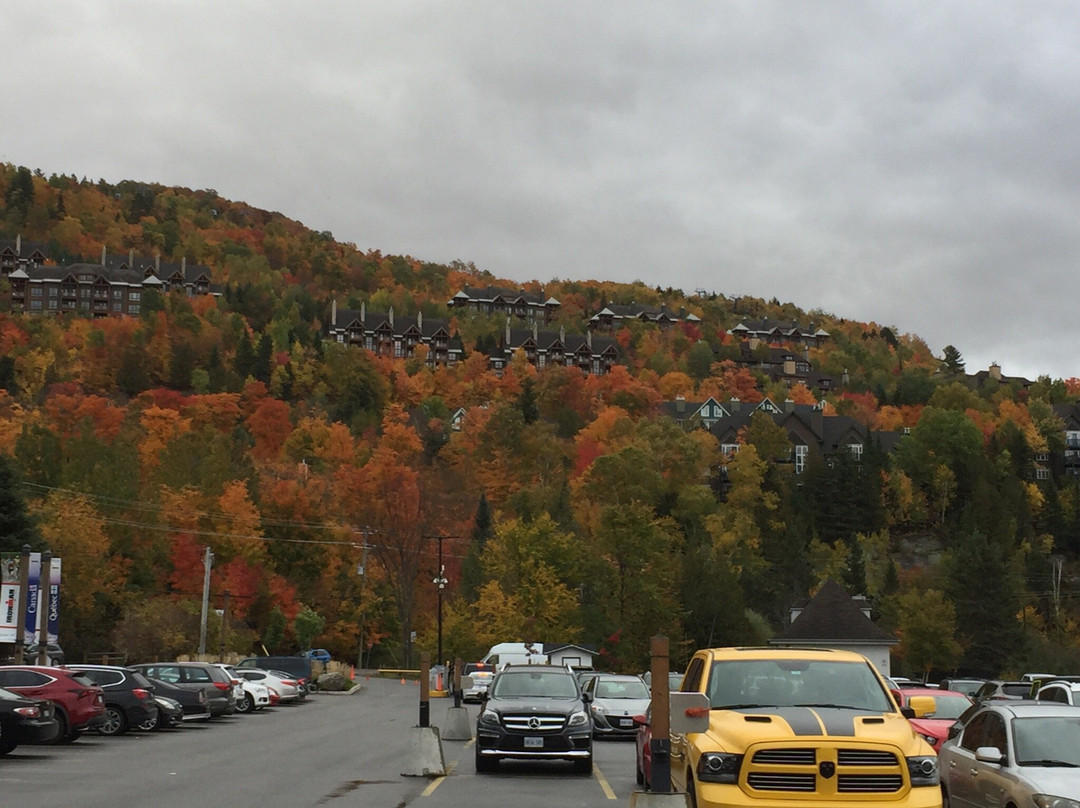 Aventures Parc Mont-Tremblant-塔伯拉山必去景点