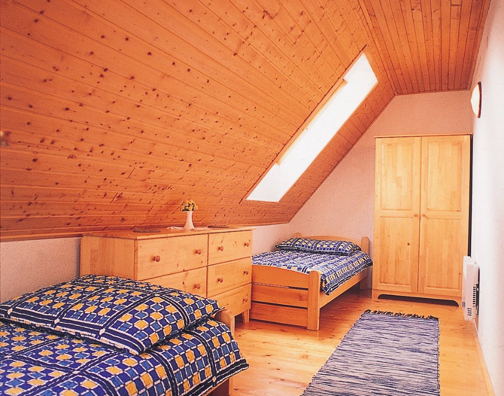 Mountain cottage Stara Horaren主图