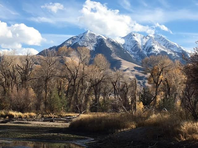 Yellowstone Country Cabins主图
