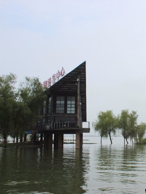 固城湖湿地景点图片