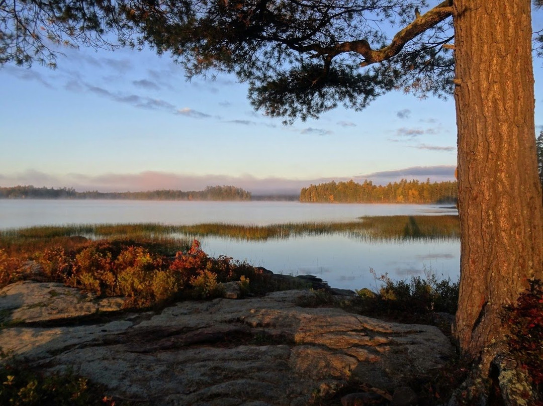 Lake Lila Primitive Area景点图片