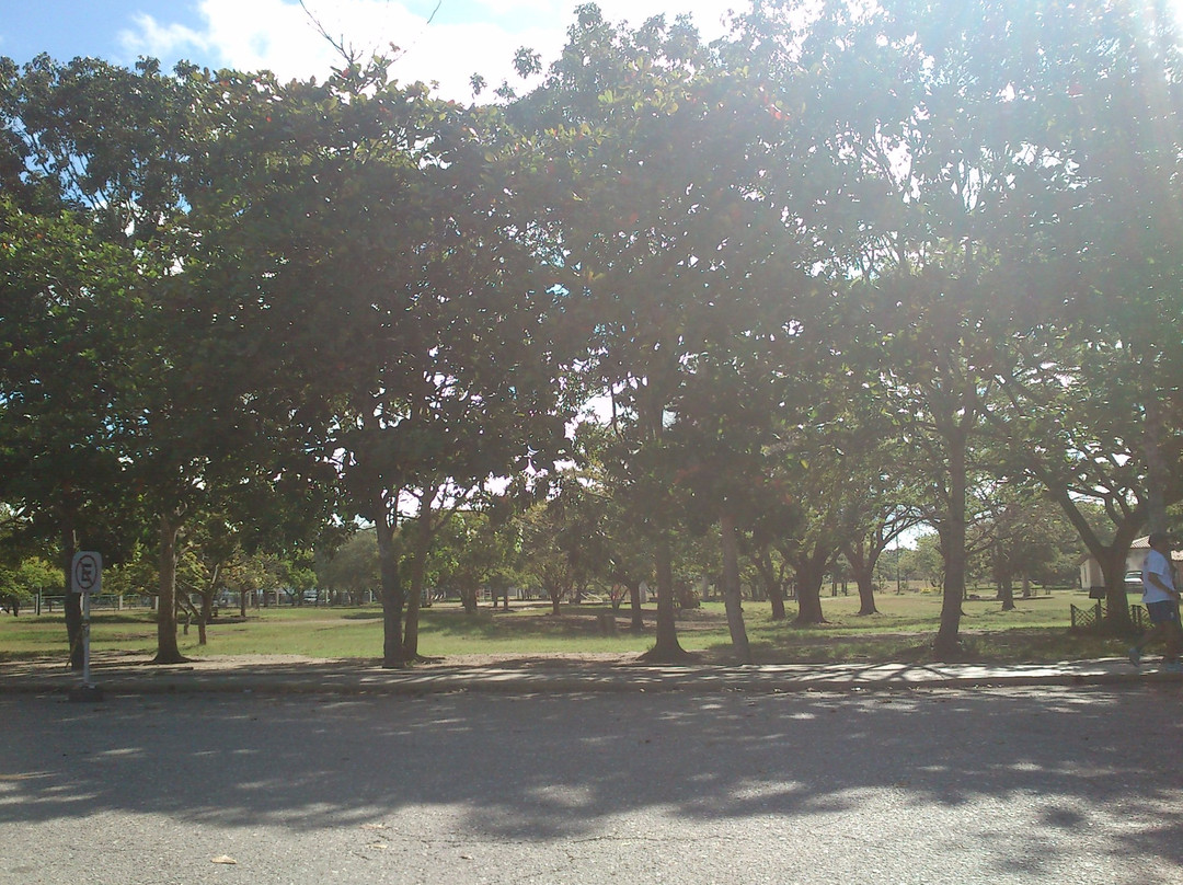Parque Del Este景点图片