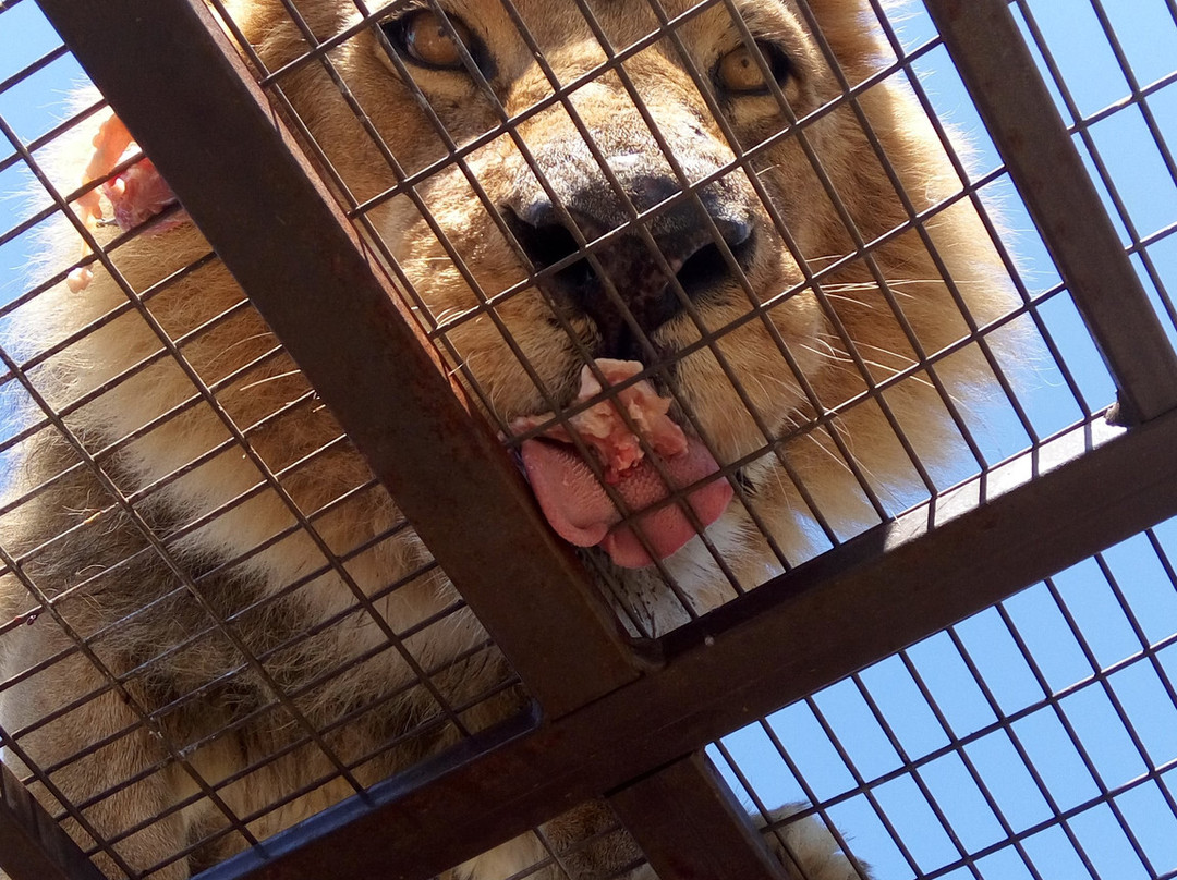 Parque Comunal Rancagua-兰卡瓜必去景点