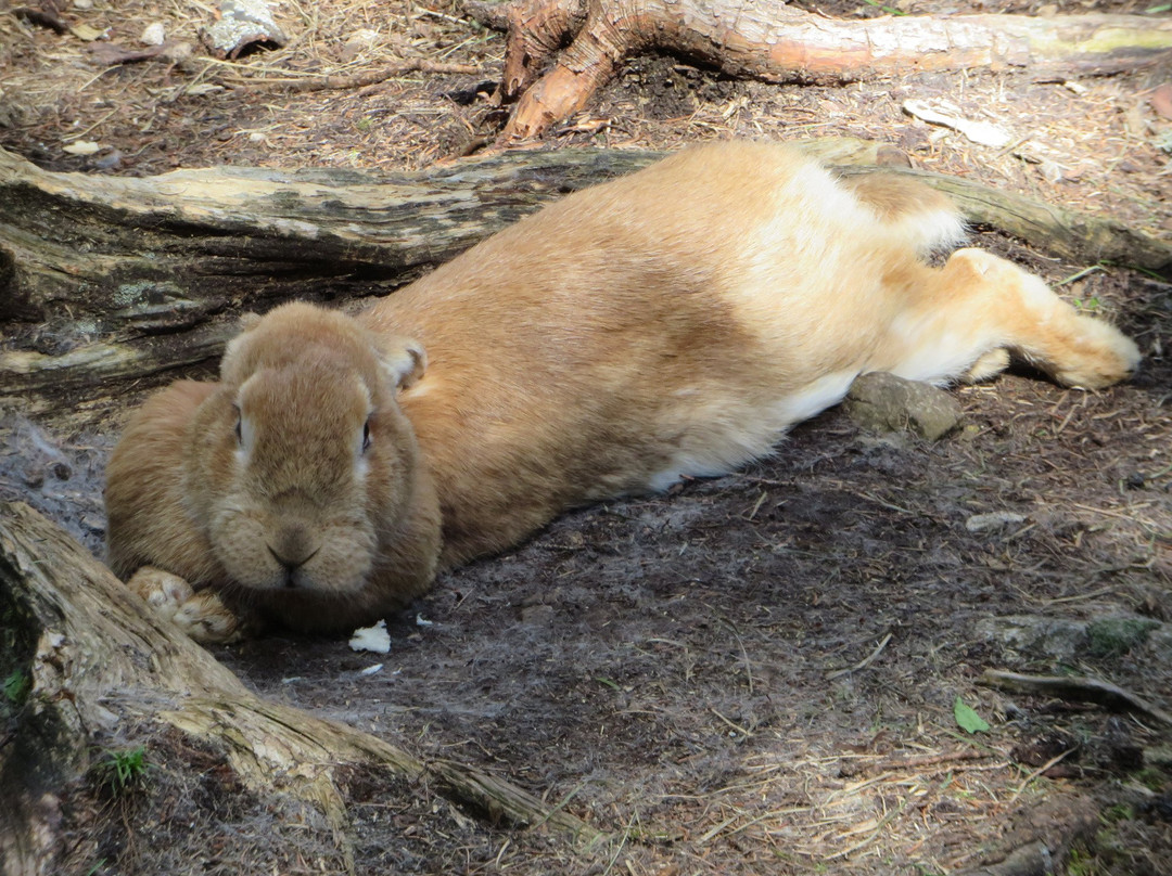 Parch di Colfosco-Colfosco必去景点