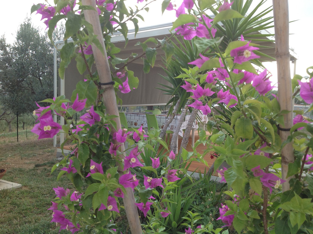 B&B Gioia In Collina主图