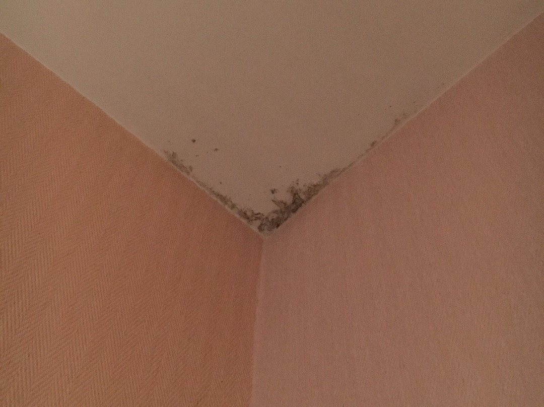 瑞莱斯利斯塔克酒店主图