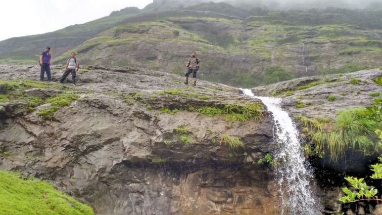Kalsubai Harishchandragad Wildlife Sanctuary景点图片