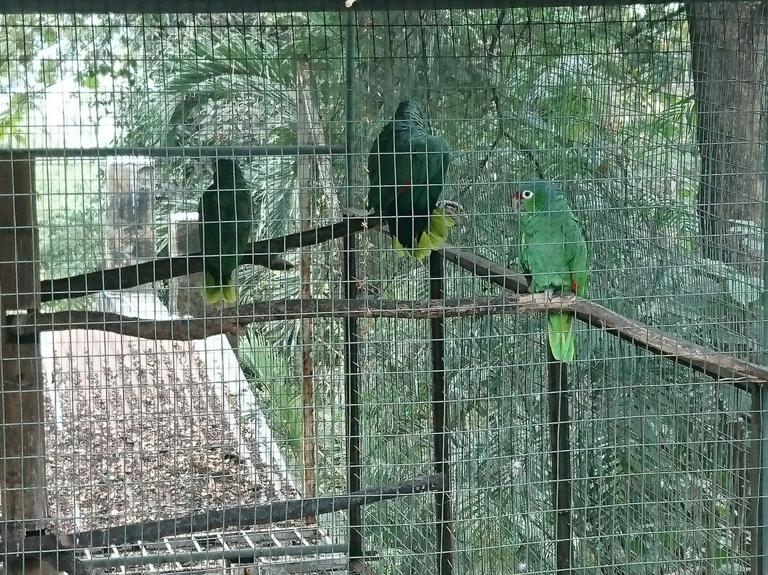 Botanical Garden of Guayaquil-瓜亚基尔必去景点
