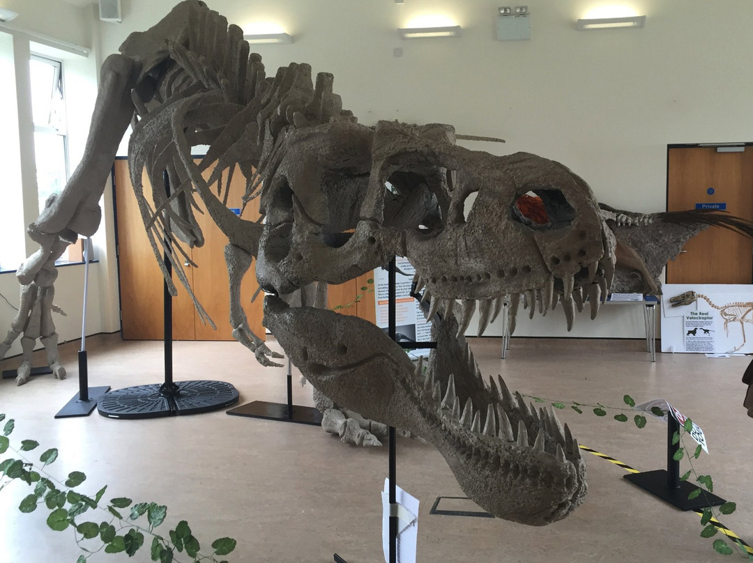 West Kirby Museum景点图片
