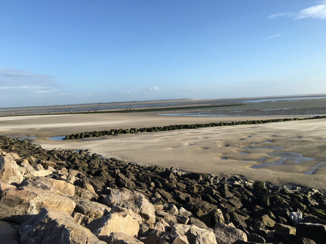 null-Berck