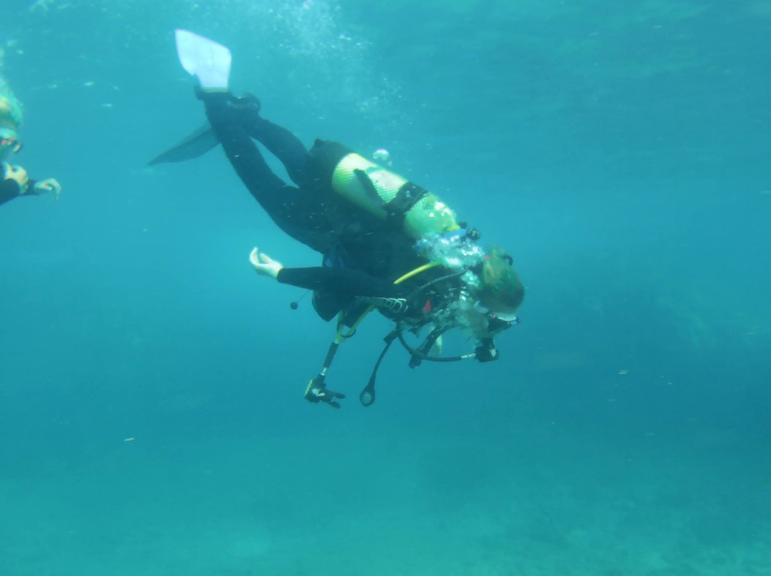 Dossotaigua Dive Center-普拉特哈达罗必去景点