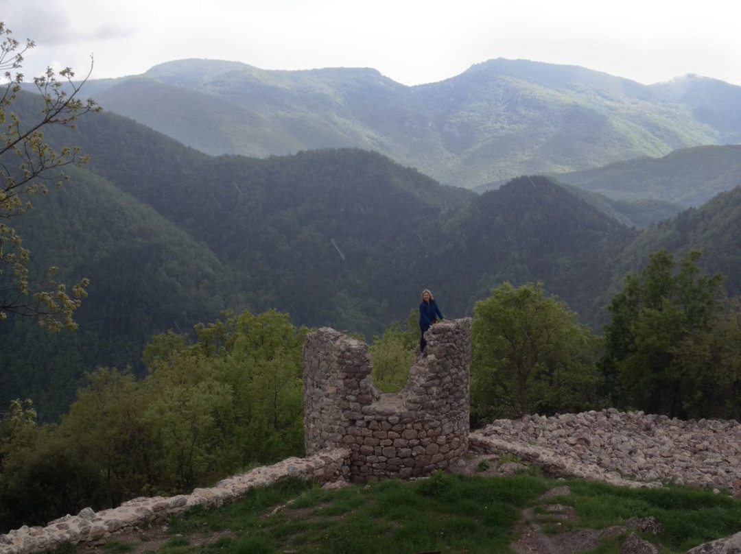 Castillo de Rocabruna景点图片